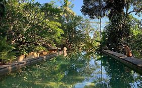 Sri Yoga Shala Bed And Breakfast