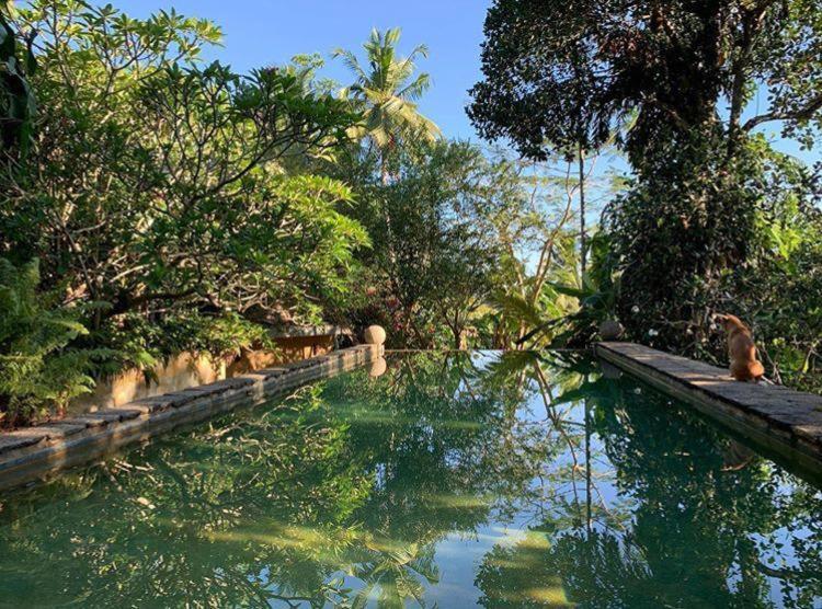 Sri Yoga Shala Bed and Breakfast Unawatuna Buitenkant foto
